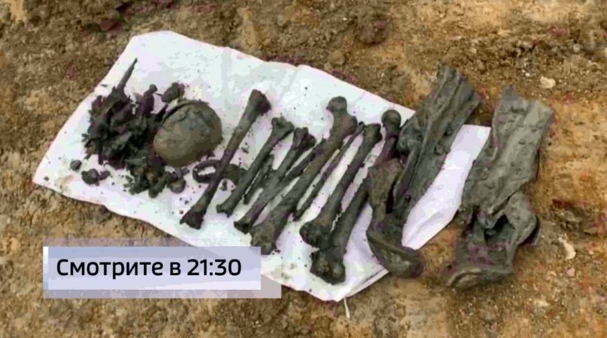 Тайну найденного в Приморье массового захоронения раскрыли поисковики
