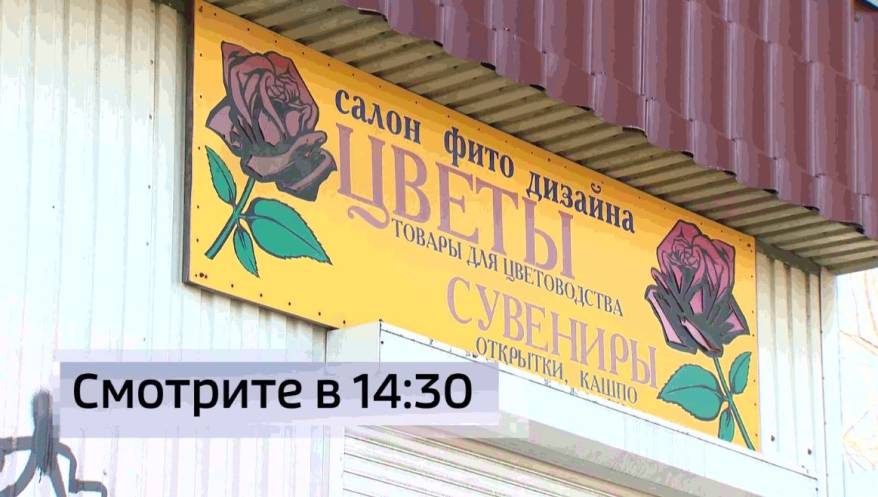 Заперли в заброшенном киоске: бедное животное обрекли на верную смерть в Приморье