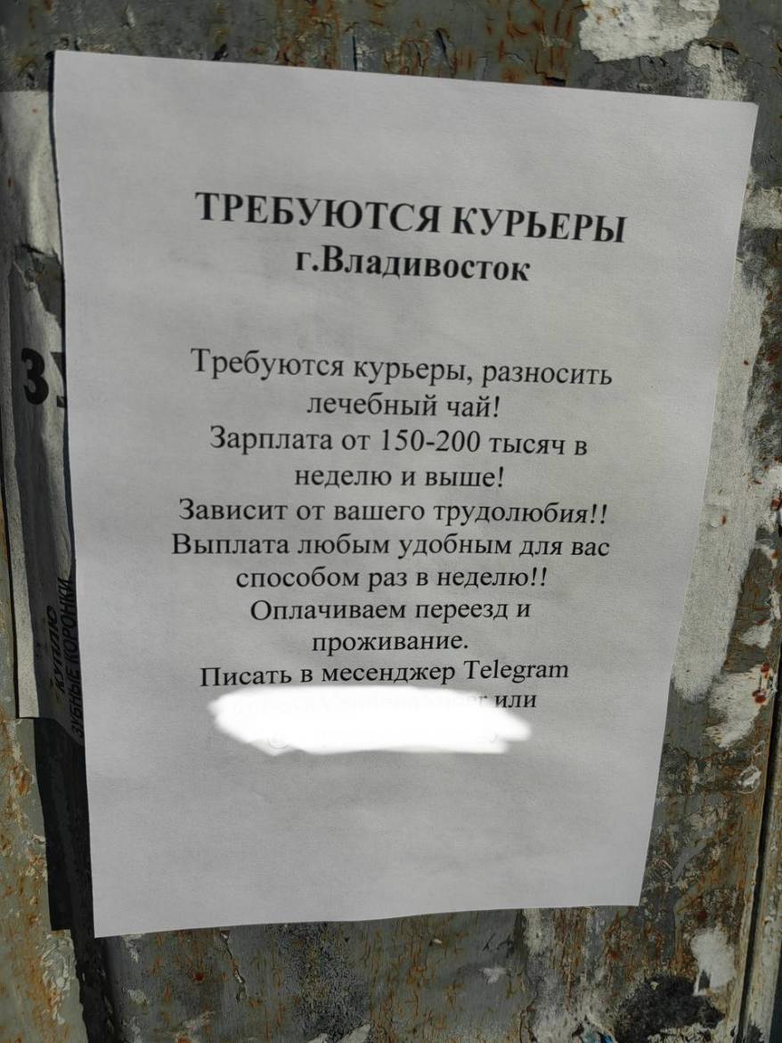 Странные листовки во Владивостоке насторожили горожан Странные листовки во Владивостоке насторожили горожан