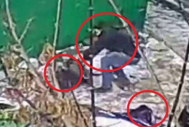 «Перепрыгнул через девочку, догоняя мальчишку»: поведение водителя ввело в недоумение