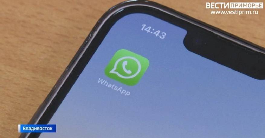 «С 4 декабря удалят?»: Приморцы бурно обсуждают ситуацию с  WhatsApp