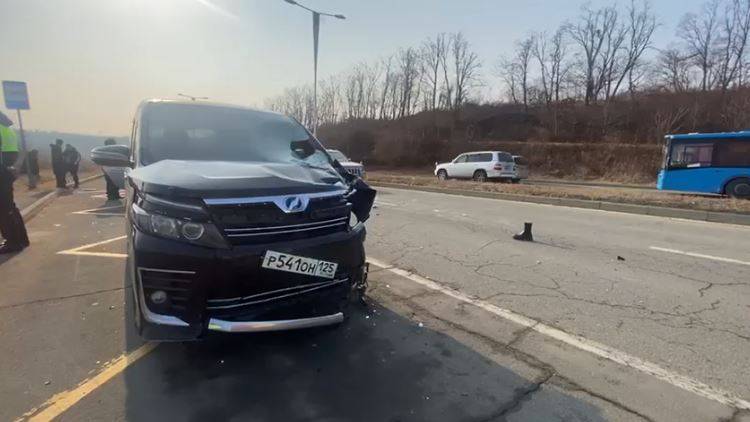 Водителя задержали на месте: страшное ДТП случилось в эти минуты на Русском острове