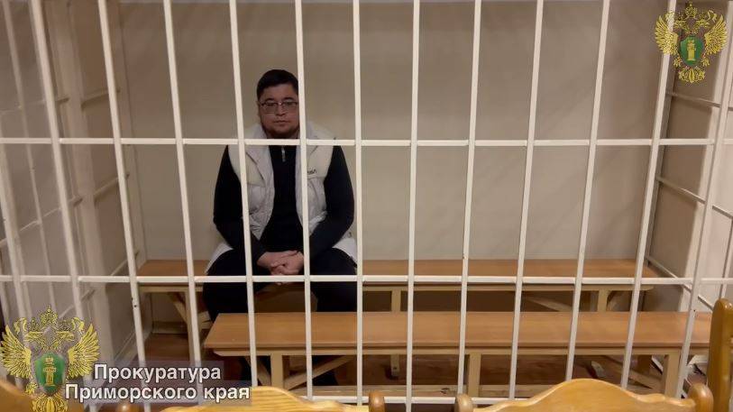 Мигранту, сбившему насмерть студентку во Владивостоке, аннулируют вид на жительство Мигранту, сбившему насмерть студентку во Владивостоке, аннулируют вид на жительство