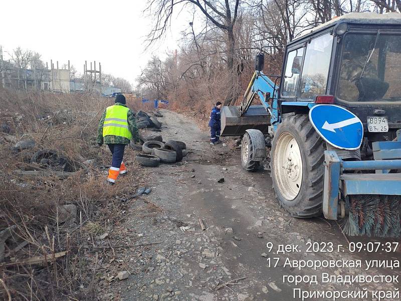 Двести тысяч шин вывезли с улиц Владивостока в этом году Двести тысяч шин вывезли с улиц Владивостока в этом году