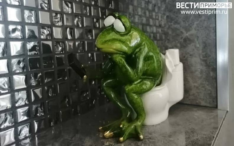 «Унитаз взлетел на воздух?»: происшествие в школе