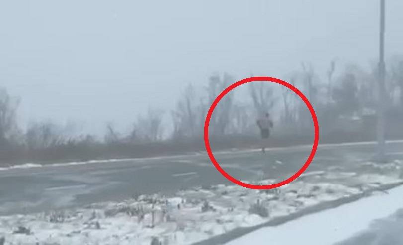 Аномальные морозы не заметил житель Приморья на Русском острове Аномальные морозы не заметил житель Приморья на Русском острове