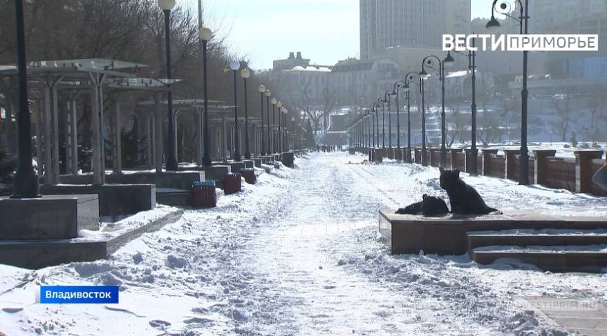 Синоптики рассказали, каким бывает декабрь в Приморье Синоптики рассказали, каким бывает декабрь в Приморье