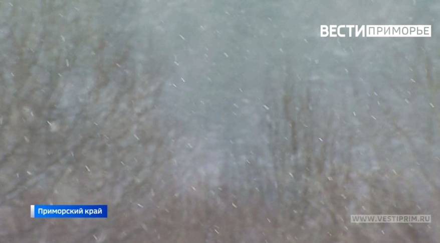 Снег с дождем: Глубокий циклон обрушит разнородные осадки на Приморье Снег с дождем: Глубокий циклон обрушит разнородные осадки на Приморье