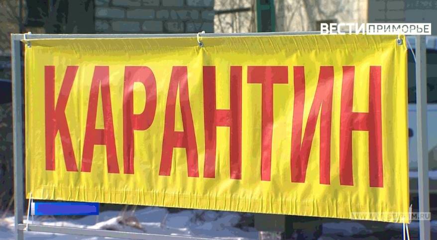 Вирус косит приморцев: карантин введен уже в 26 школах и семи детсадах Владивостока
