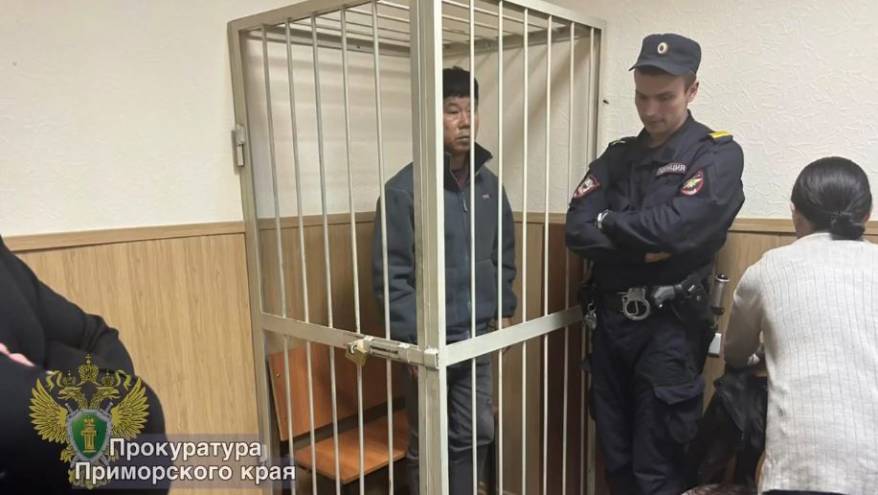Новое решение принял суд в отношении иностранца после резонансного ДТП в Приморье