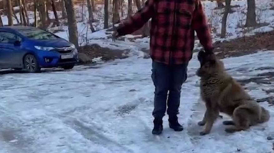 "Кавказец" напал на мужчину во время утренней пробежки во Владивостоке - развязка истории "Кавказец" напал на мужчину во время утренней пробежки во Владивостоке - развязка истории