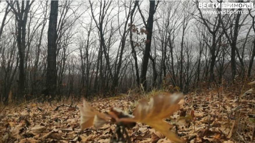 «Что натворили?»: визитку огромного размера оставили на месте стихийной свалки строители «Что натворили?»: визитку огромного размера оставили на месте стихийной свалки строители