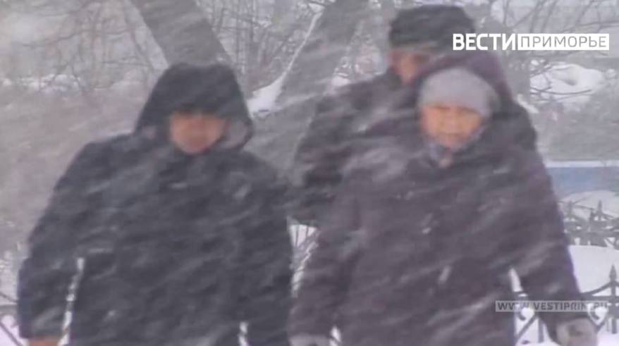 Снег и оттепель: китайский циклон идет на Приморье Снег и оттепель: китайский циклон идет на Приморье