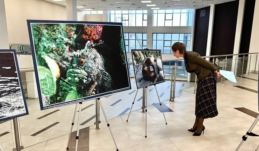 В День заповедников и национальных парков в ДВФУ открылась фотовыставка «Глаза моря»