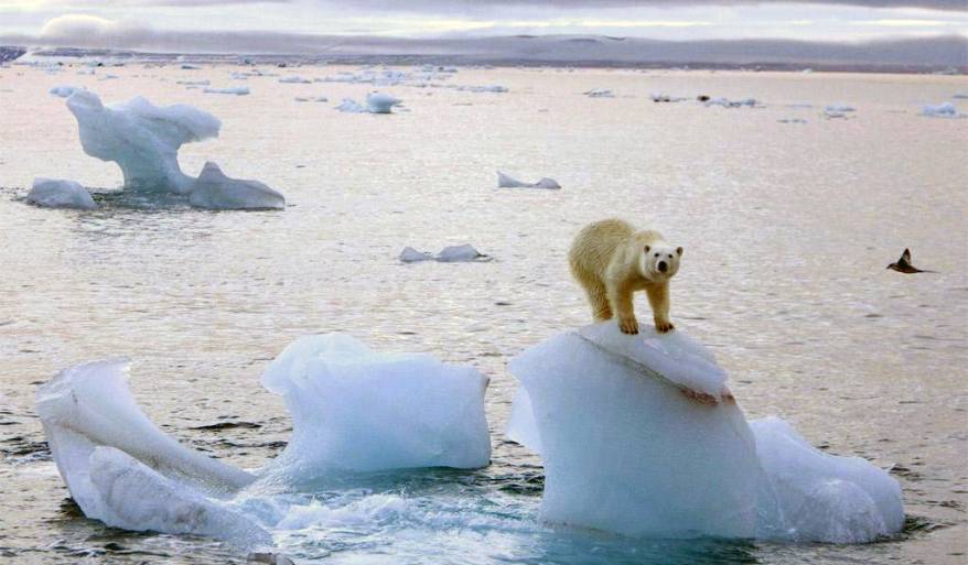На дне арктических морей гремят взрывы, не уступающие по силе взрывам ядерным На дне арктических морей гремят взрывы, не уступающие по силе взрывам ядерным