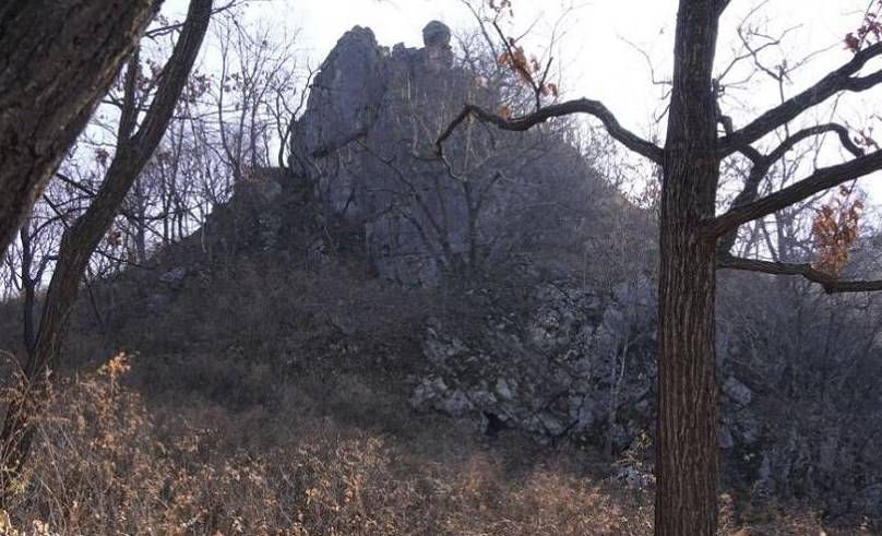 Уникальную находку обнаружили в пещере Приморья Уникальную находку обнаружили в пещере Приморья