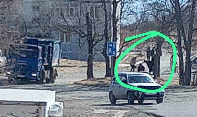 Мусоровоз переехал женщину Мусоровоз переехал женщину