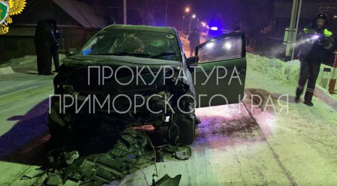 Новый виток в деле автоледи, погубившей подругу и покалечившей двух детей в ДТП