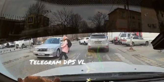 Автолюбитель чуть не стал свидетелем страшной картины на дороге во Владивостоке