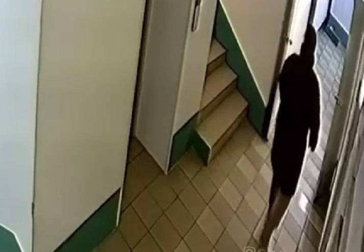 Поступок дамы в подъезде взбудоражил сознание приморцев Поступок дамы в подъезде взбудоражил сознание приморцев