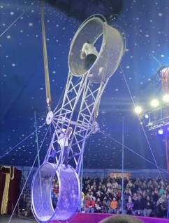 Цирковой акробат упал с высоты во время представления в Находке