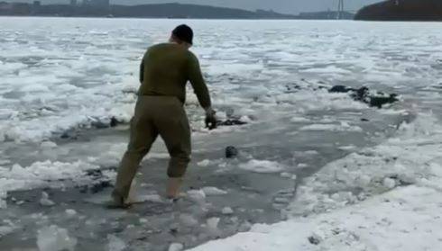 Малыш застрял в ледяном "ковше": спасательная операция прошла в Приморье