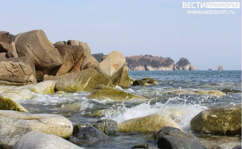 «Находка» на берегу моря вызвала жалость у приморцев