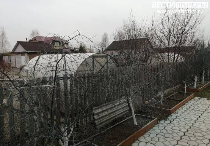 Владельцам построек на дачных участках готовят приятный «сюрприз» Владельцам построек на дачных участках готовят приятный «сюрприз»