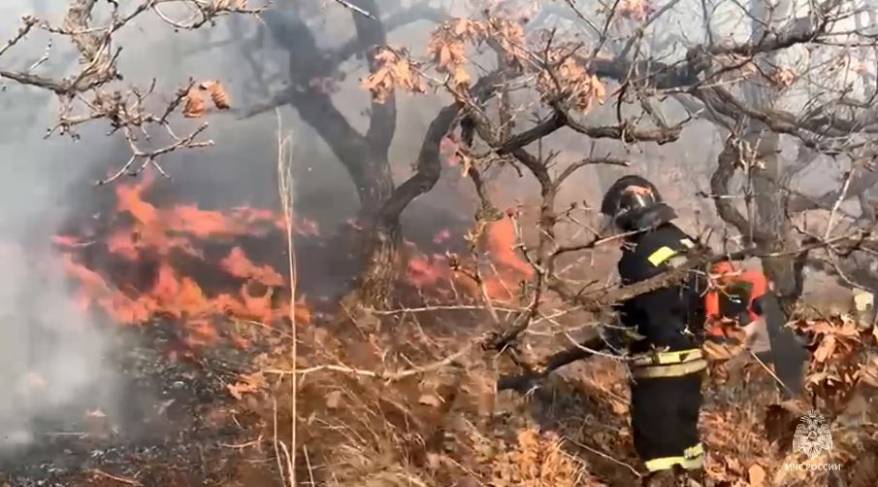 МЧС России усиливает группировку для тушения ландшафтных пожаров в Приморье