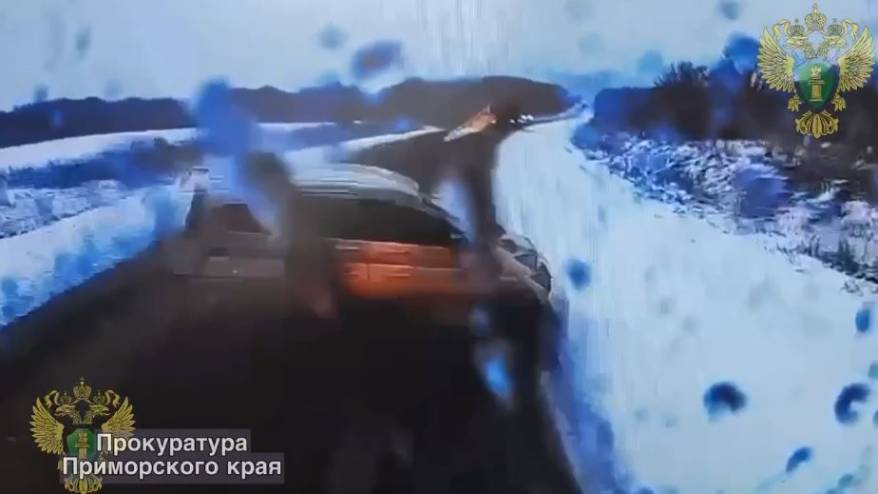 Момент страшного ДТП, унесшего жизни женщины и двух детишек в Приморье, попал на видео