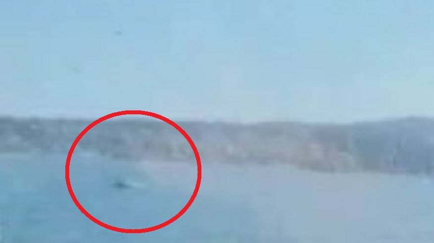 Операция по спасению в море: рыбак выпал из лодки (видео) Операция по спасению в море: рыбак выпал из лодки (видео)