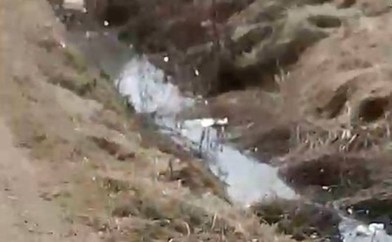 Находка в канаве взбудоражила сознание жительницы Приморья (видео)