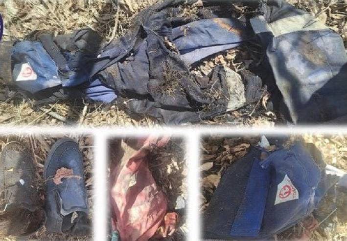 Приморцев просят помочь: обнаружены останки неустановленной личности Приморцев просят помочь: обнаружены останки неустановленной личности
