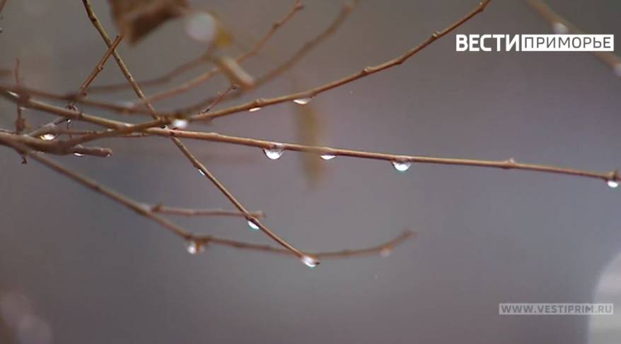 Подойдет атмосферный фронт: синоптики дали прогноз на ближайшие сутки в Приморье Подойдет атмосферный фронт: синоптики дали прогноз на ближайшие сутки в Приморье