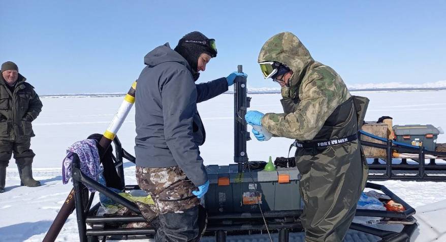 Российско-китайская экспедиция исследовала влияние вулканов на прибрежные экосистемы Камчатки