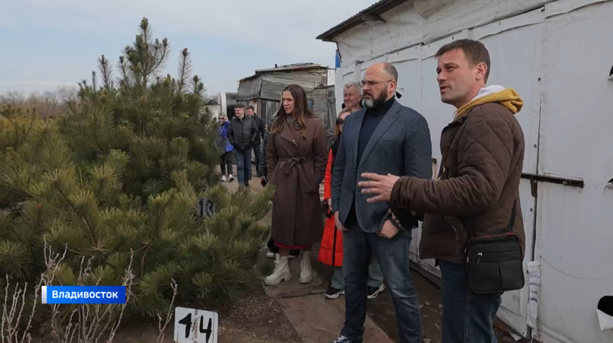 Во Владивостоке появится собственный лесопитомник