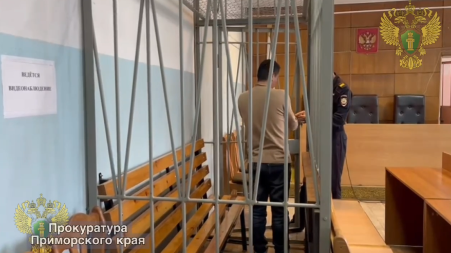 Мигрант заключен под стражу за попытку дать взятку должностному лицу в Приморье