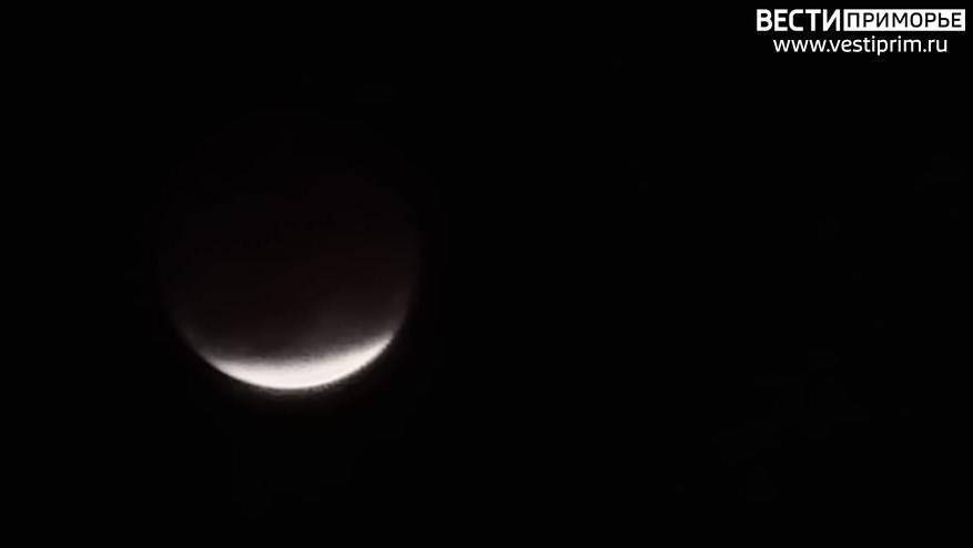 "Мне больно": дикие женские крики ночью встревожили жителей Владивостока