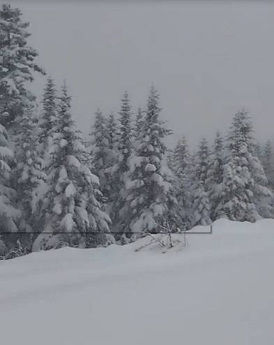 Снегом засыпает район Приморья Снегом засыпает район Приморья