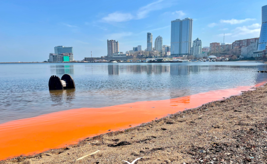Море окрасилось в оранжевый цвет у побережья Владивостока