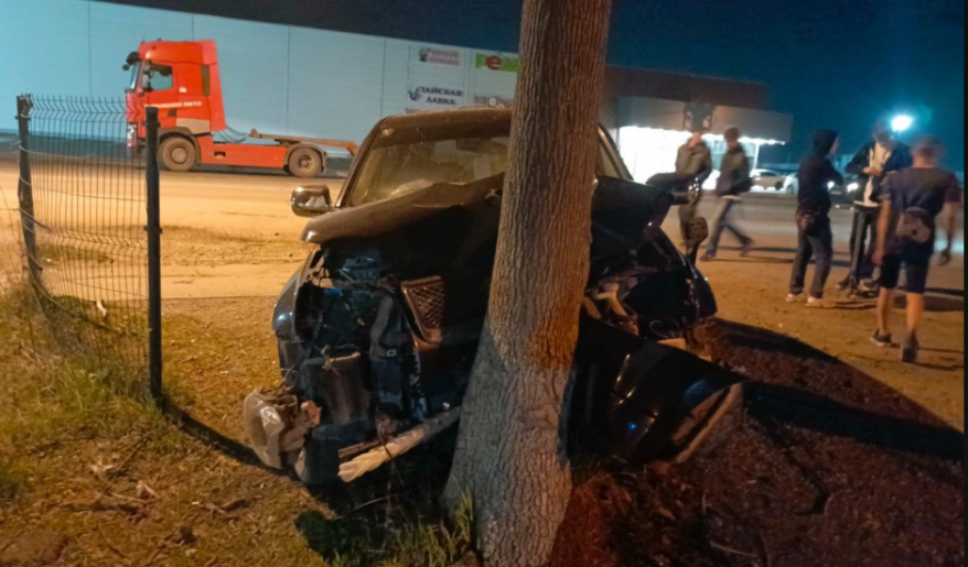 "Весь в крови": пьяный водитель на автомобиле врезался в дерево в Приморье