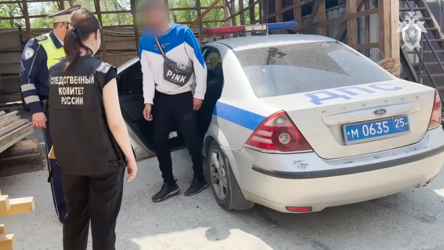 Во Владивостоке задержан мигрант, сбивший ребенка на зебре: вскрылись интересные факты