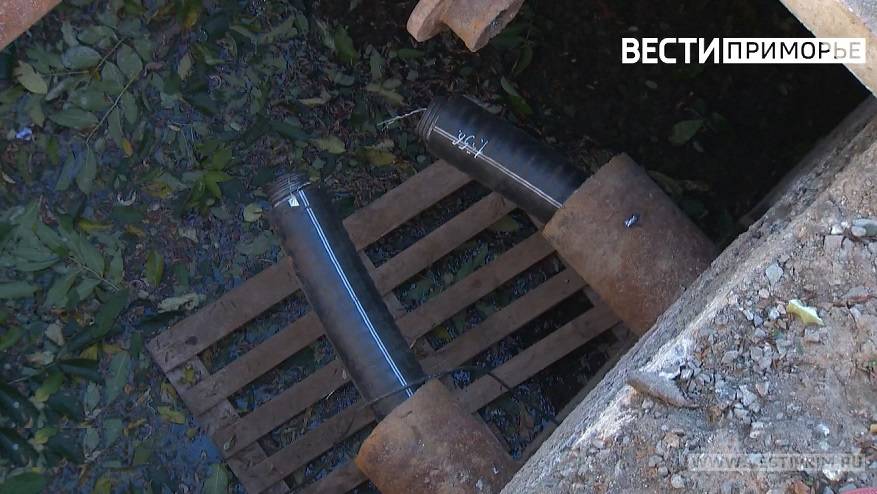 «Не вышли на поверхность»: трагедия с рабочими на свиноводческом комплексе в Приморье  