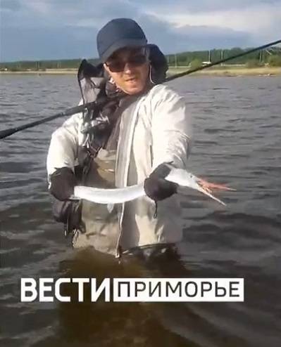 Зубастого хищника с зелеными костями поймали под Владивостоком (видео)