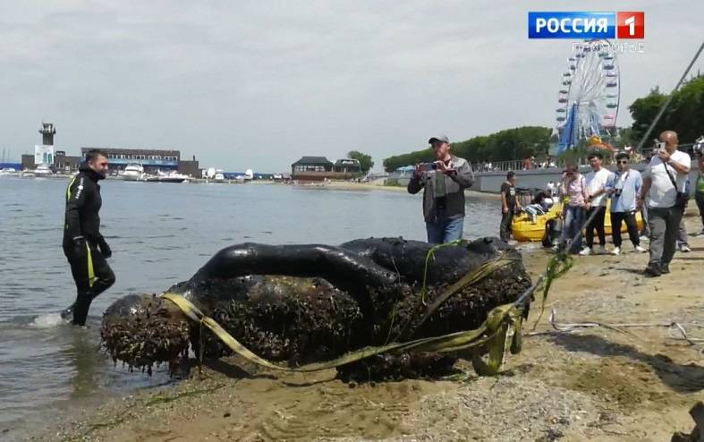 Русалку подняли со дна моря во Владивостоке