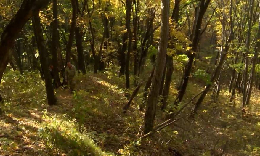 В лесу найдена женщина, бросившая малютку водителю такси