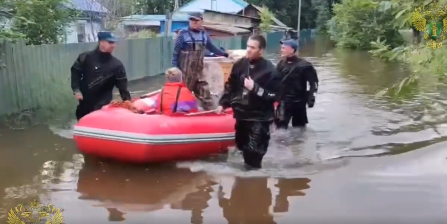 Пенсионерку спасли вместе с цыплятами в затонувшем Дальнереченске