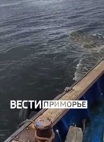Вода в акватории Владивостока покрылась отходами жизнедеятельности человека