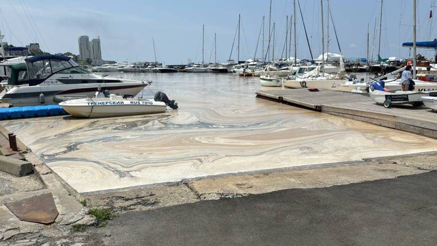 «Обожрались органикой»: эксперт рассказал, что случилось с Амурским заливом