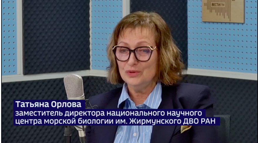 Эксперт объяснила появление пены и слизи на Амурском заливе во Владивостоке